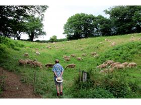 photo coins arrondis