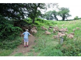 photo coins arrondis