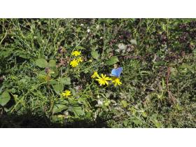 photo coins arrondis