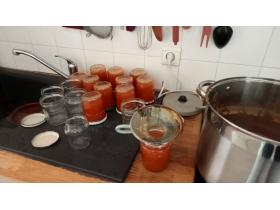 photo coins arrondis