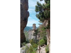 photo coins arrondis