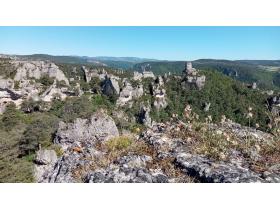 photo coins arrondis