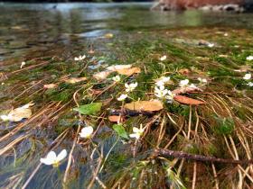 photo coins arrondis