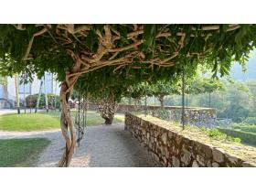 photo coins arrondis