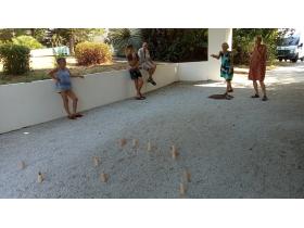 photo coins arrondis