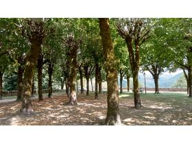 photo coins arrondis