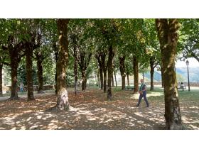 photo coins arrondis