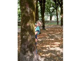 photo coins arrondis