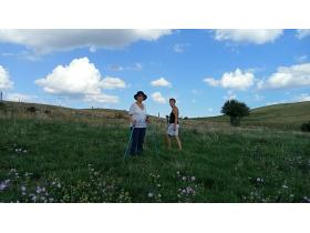 photo coins arrondis