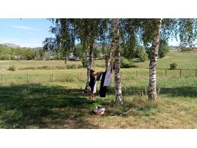 photo coins arrondis