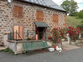 photo coins arrondis