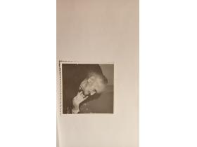 photo coins arrondis