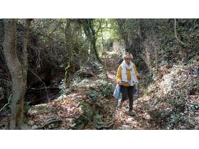 photo coins arrondis