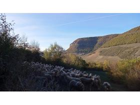 photo coins arrondis