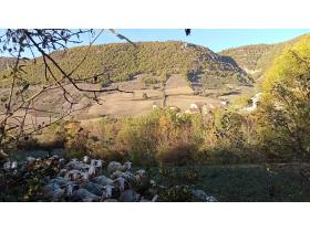 photo coins arrondis