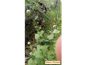 photo coins arrondis