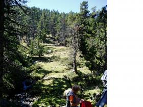 photo coins arrondis