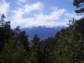 photo coins arrondis