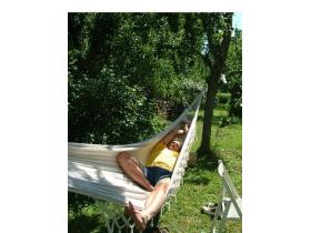 Image al&eacute;atoire