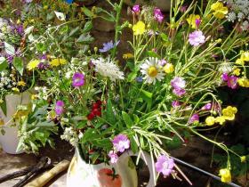 Image al&eacute;atoire : photos_web/photos_aleatoires//08-2007-.jpg